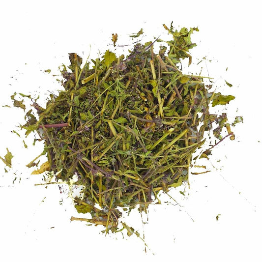 Butelka Krety (Dzika mięta) (Bio). 30g.